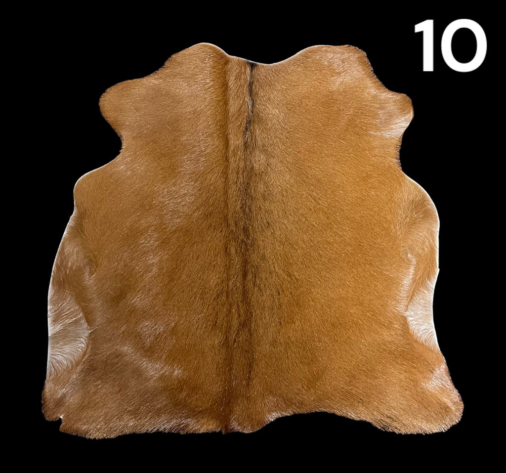 Natural Hair-On Goat Hide : Perfect as a Rug or Throw Also for Making Bags & Accessories (10)