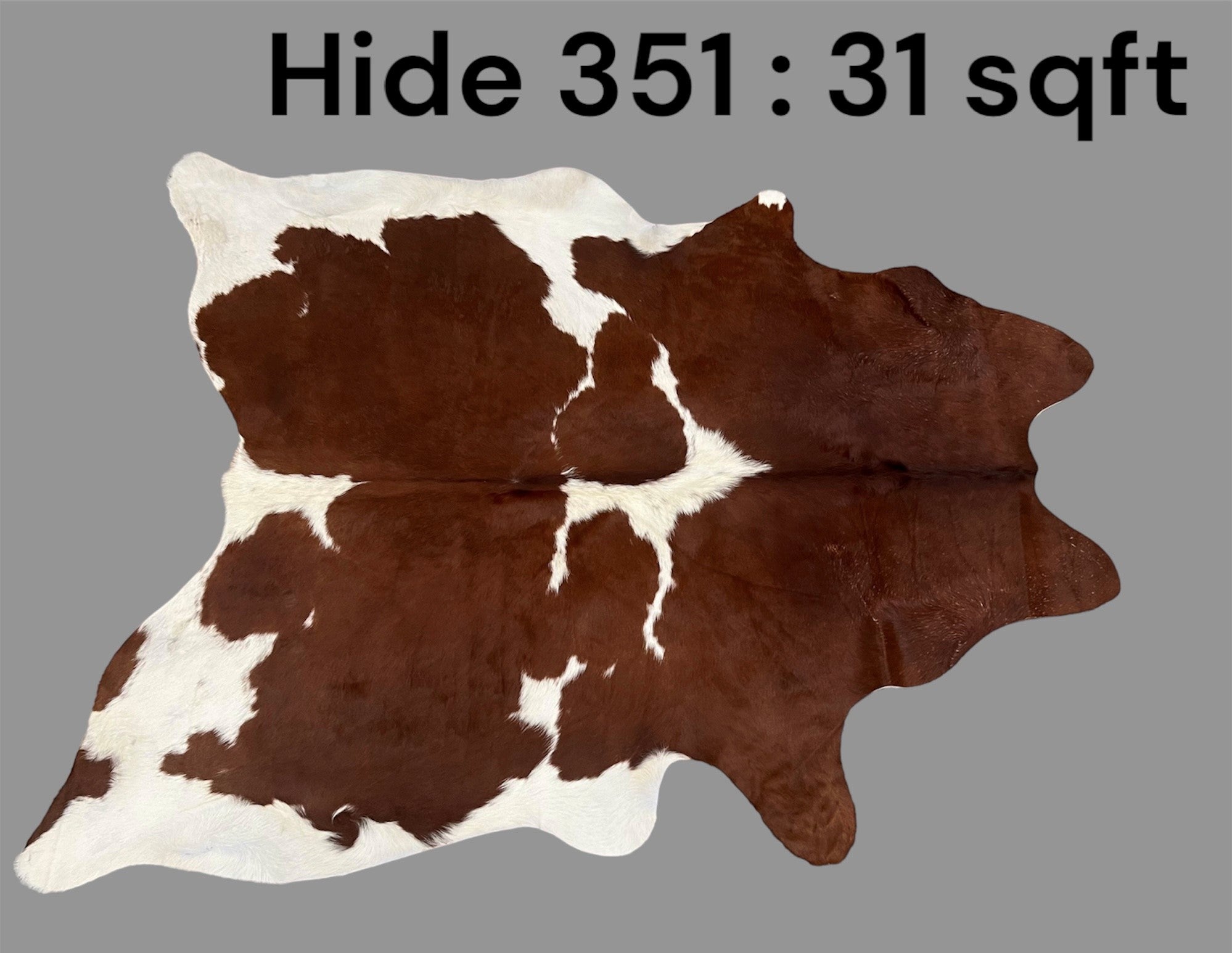 Natural Hair On Cow Hide : This Hide Is Perfect For Wall Hanging, Leather Rugs, Leather Upholstery & Leather Accessories. (Hide351)