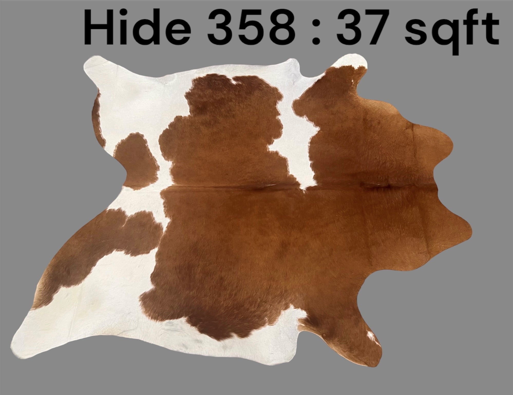 Natural Hair On Cow Hide : This Hide Is Perfect For Wall Hanging, Leather Rugs, Leather Upholstery & Leather Accessories. (Hide358)