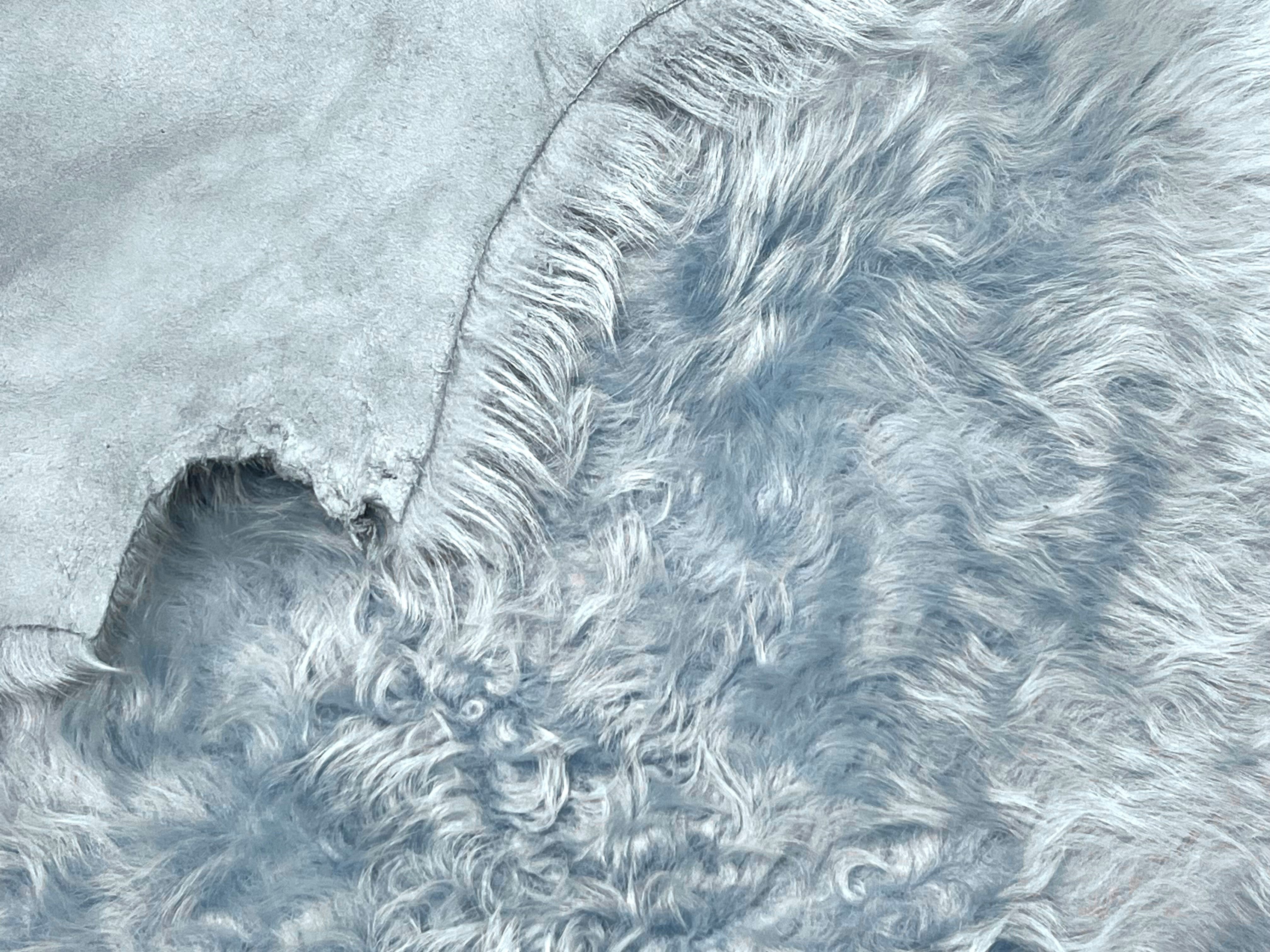 Tigrados Baby Blue : 4x Piece Shearling Bundle with Suede Reverse (Ref-gh.eol) Bundle 372