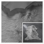 Toscana Grey : 5 Piece Shearling Bundle With Nappalan Reverse (Ref-gh.eol) Bundle 436