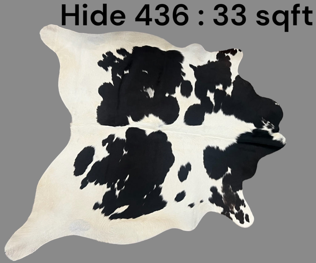 Natural Hair On Cow Hide : This Hide Is Perfect For Wall Hanging, Leather Rugs, Leather Upholstery & Leather Accessories. (Hide436)