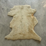 Semi-Curly Cream : 12x Piece Shearling Bundle With Suede Reverse (Ref-gh.eol) Bundle 458