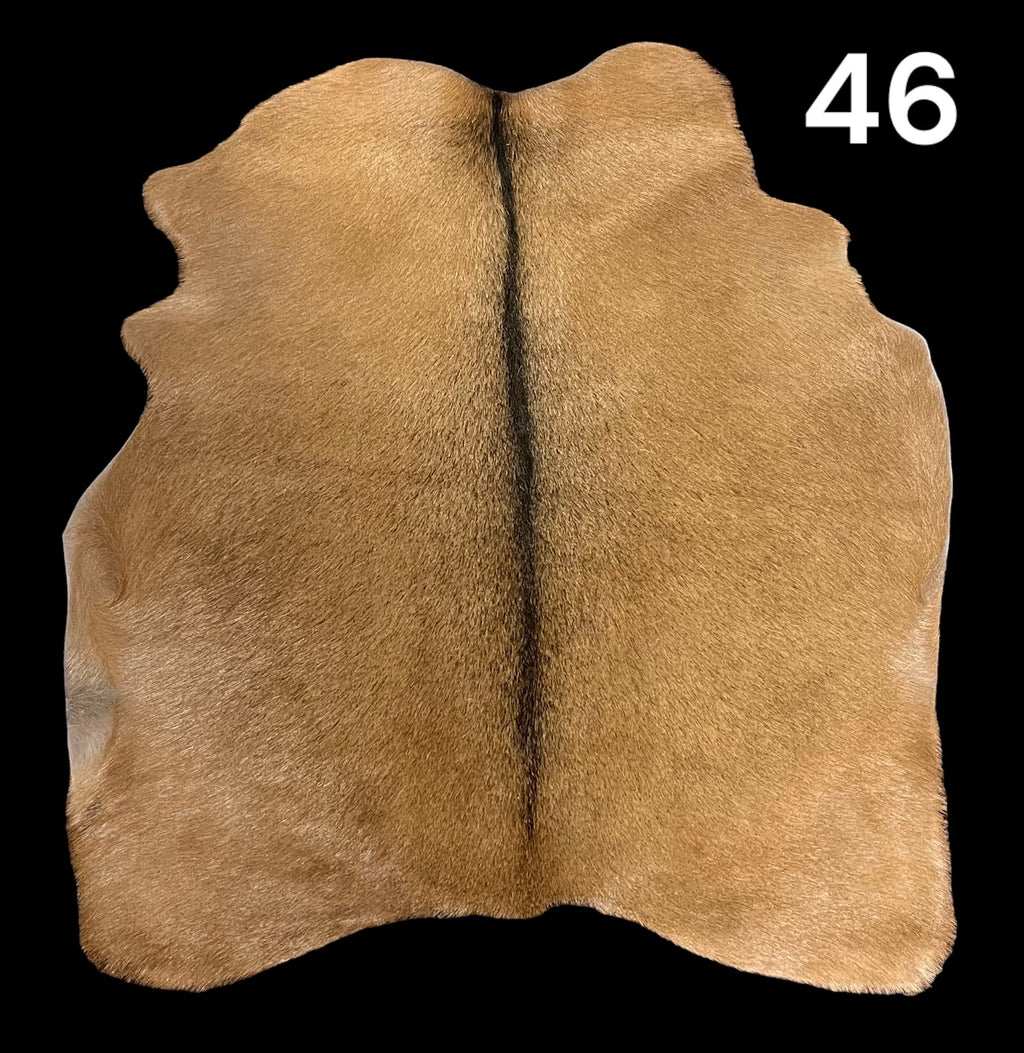 Natural Hair-On Goat Hide : Perfect as a Rug or Throw Also for Making Bags & Accessories (46)