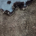Australian Merino Brown : 11 Piece Curly Sheepskin Bundle (Ref-gh.eol) Bundle 505