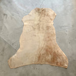 Merino Tan : 10mm Ironed Wool 5x Piece Bundle with Nappalan Reverse (Ref-gh.eol) Bundle 507