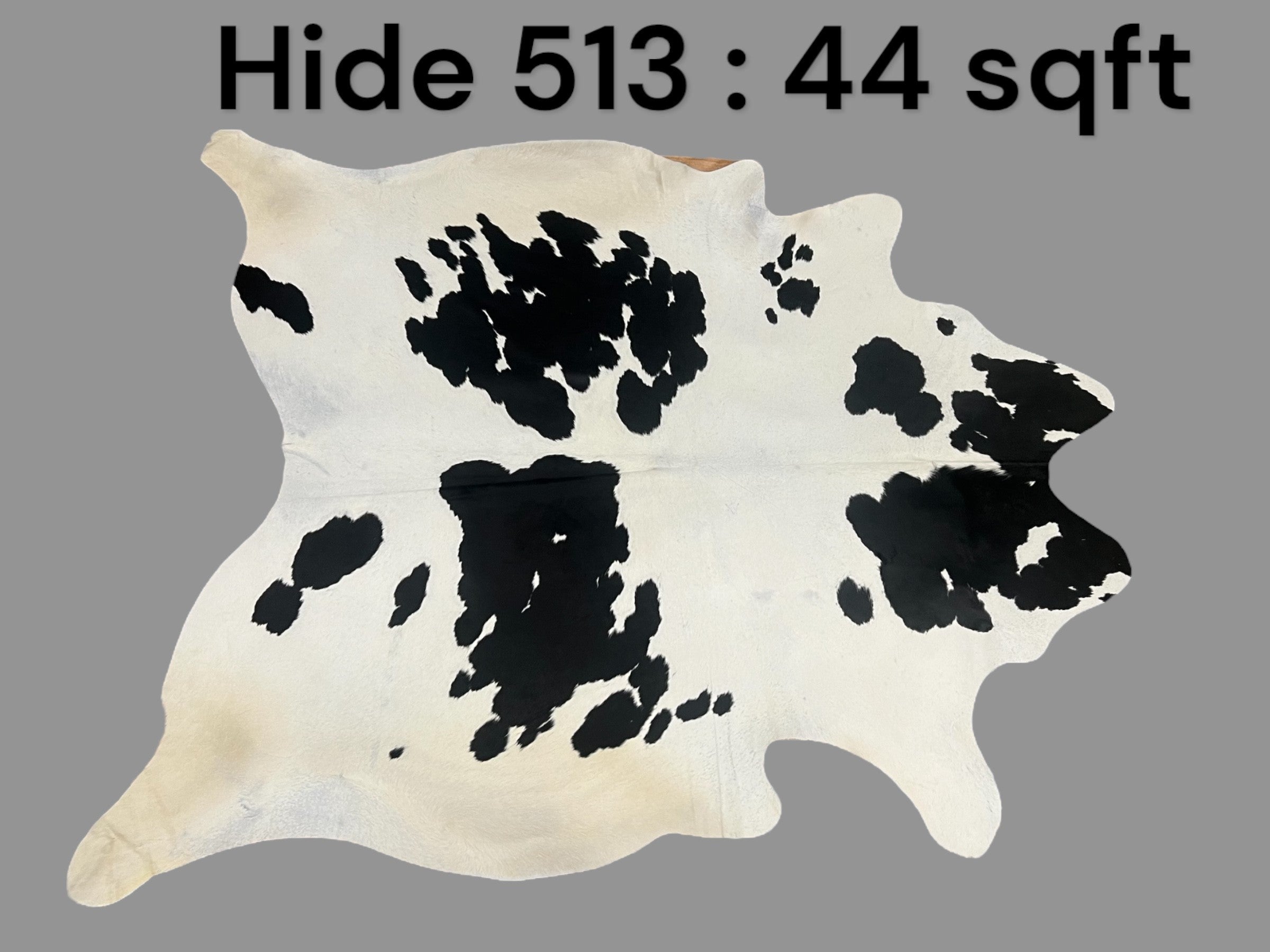 Natural Hair On Cow Hide : This Hide Is Perfect For Wall Hanging, Leather Rugs, Leather Upholstery & Leather Accessories. (Hide513)