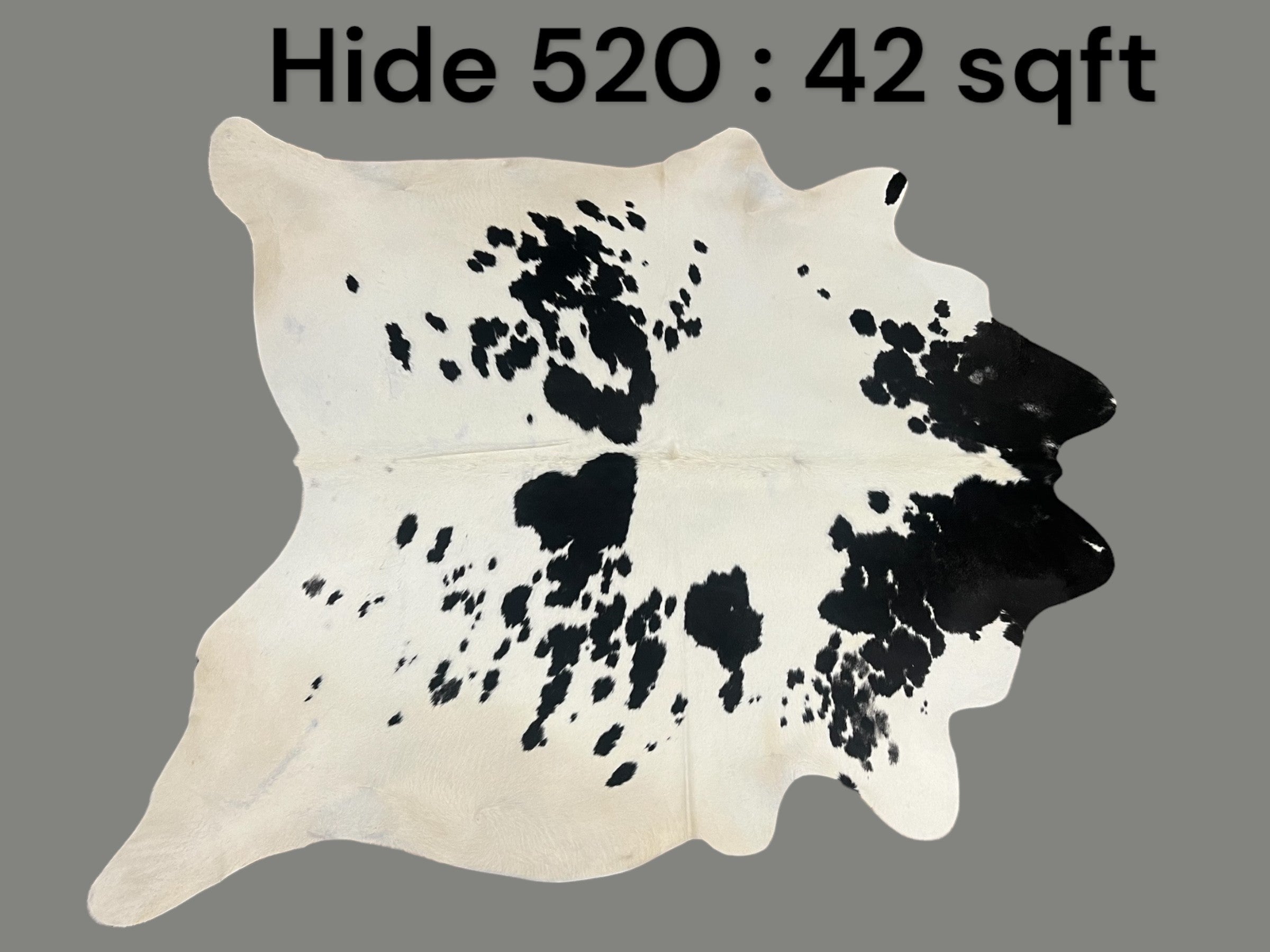 Natural Hair On Cow Hide : This Hide Is Perfect For Wall Hanging, Leather Rugs, Leather Upholstery & Leather Accessories. (Hide520)