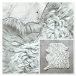 Tigrados Off-White : 10x Piece Shearling Bundle With Suede Reverse (Ref-gh.eol) Bundle 580