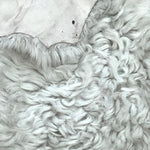 Tigrados Off-White : 10x Piece Shearling Bundle With Suede Reverse (Ref-gh.eol) Bundle 580