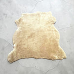 Australian Merino Biscuit : 5x Piece Curly Sheepskin Bundle with Suede Reverse (Ref-gh.eol) Bundle 589