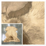 Toscana Biscuit : 10x Piece Shearling Bundle With Nappalan Reverse (Ref-gh.eol) Bundle 633
