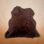 Merino Chestnut : 12mm Ironed Wool 9x Piece Bundle with Suede Reverse (Ref-gh.eol) Bundle 642