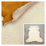 Cream Curly Sheepskin : 7x Piece Shearling Bundle With Suede Reverse x2 (Ref-gh.eol) Bundle 645