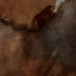 Large Toscana Patchy Chestnut Brown : 5x Piece Shearling Bundle With Suede Reverse (Ref-gh.eol) Bundle 664