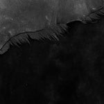 Merino Black : 12mm Ironed Wool 10x Piece Bundle with Suede Reverse (Ref-gh.eol) Bundle 660