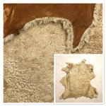 Australian Merino B-Grade Biscuit : 6x Piece Curly Sheepskin Bundle with Suede Reverse (Ref-gh.eol) Bundle 712