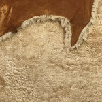 Australian Merino B-Grade Biscuit : 6x Piece Curly Sheepskin Bundle with Suede Reverse (Ref-gh.eol) Bundle 712