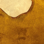 Australian Merino Two-Tone Tan : x7 Piece 14mm Ironed Sheepskin Bundle (Ref-gh.eol) Bundle 730