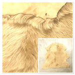 Large Toscana Biscuit : x9 Piece Shearling Bundle With Suede Reverse (Ref-gh.eol) Bundle 732