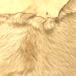 Large Toscana Biscuit : x9 Piece Shearling Bundle With Suede Reverse (Ref-gh.eol) Bundle 732