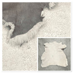 Small Merino Cream : 10mm Curly Wool B-Grade 6x Piece Sheepskin Bundle with Suede Reverse (Ref-gh.eol) Bundle 762