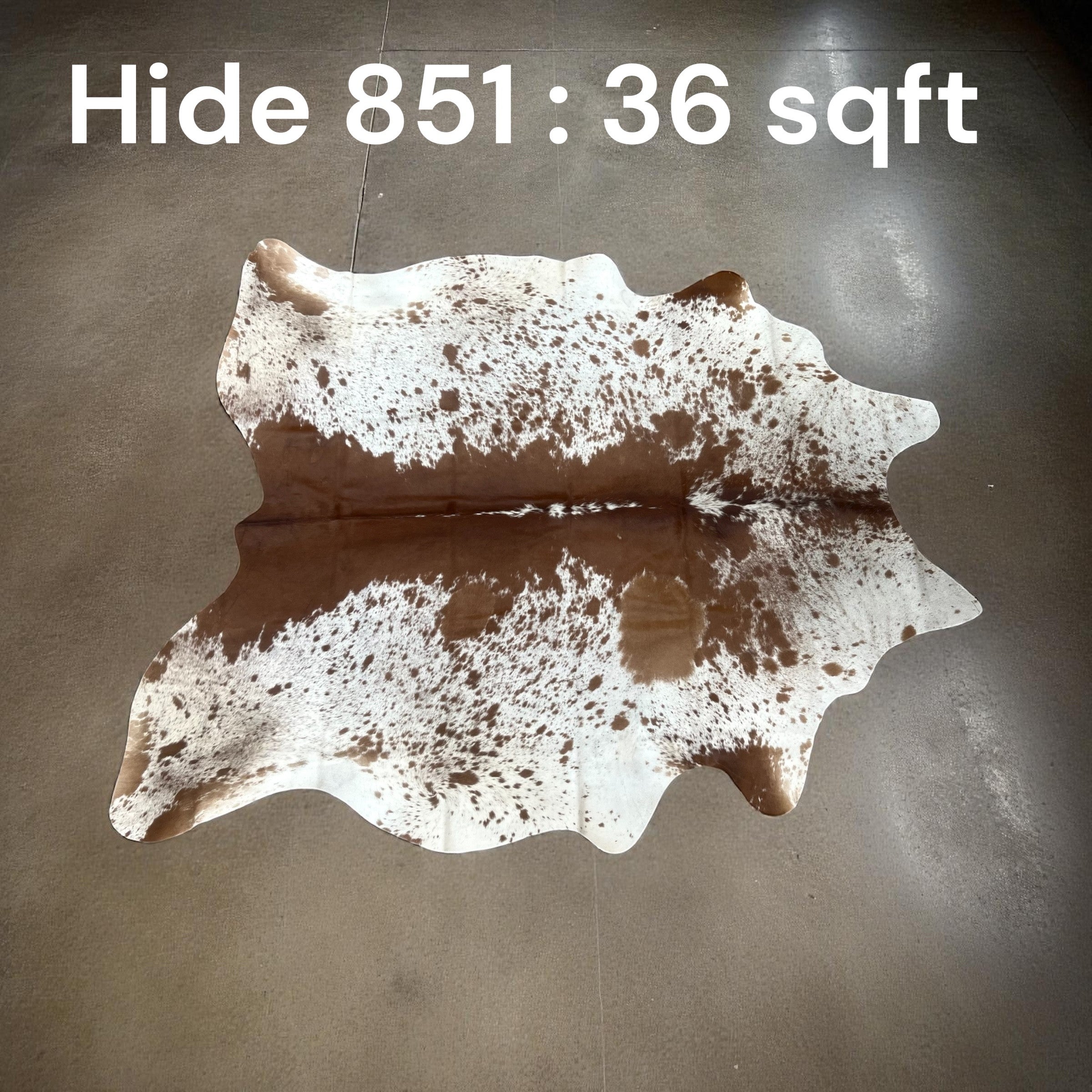 Natural Hair On Cow Hide : This Hide Is Perfect For Wall Hanging, Leather Rugs, Leather Upholstery & Leather Accessories. (Hide 851)