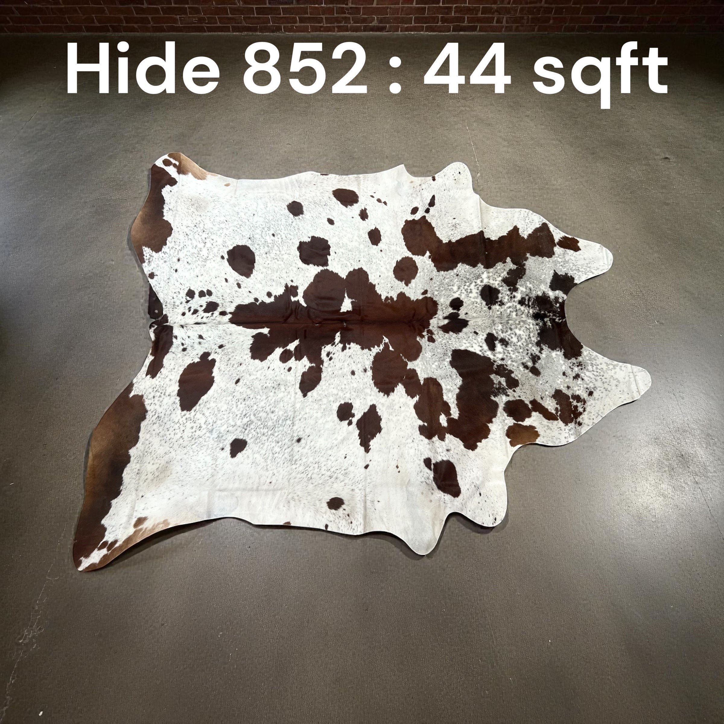 Natural Hair On Cow Hide : This Hide Is Perfect For Wall Hanging, Leather Rugs, Leather Upholstery & Leather Accessories. (Hide 852)
