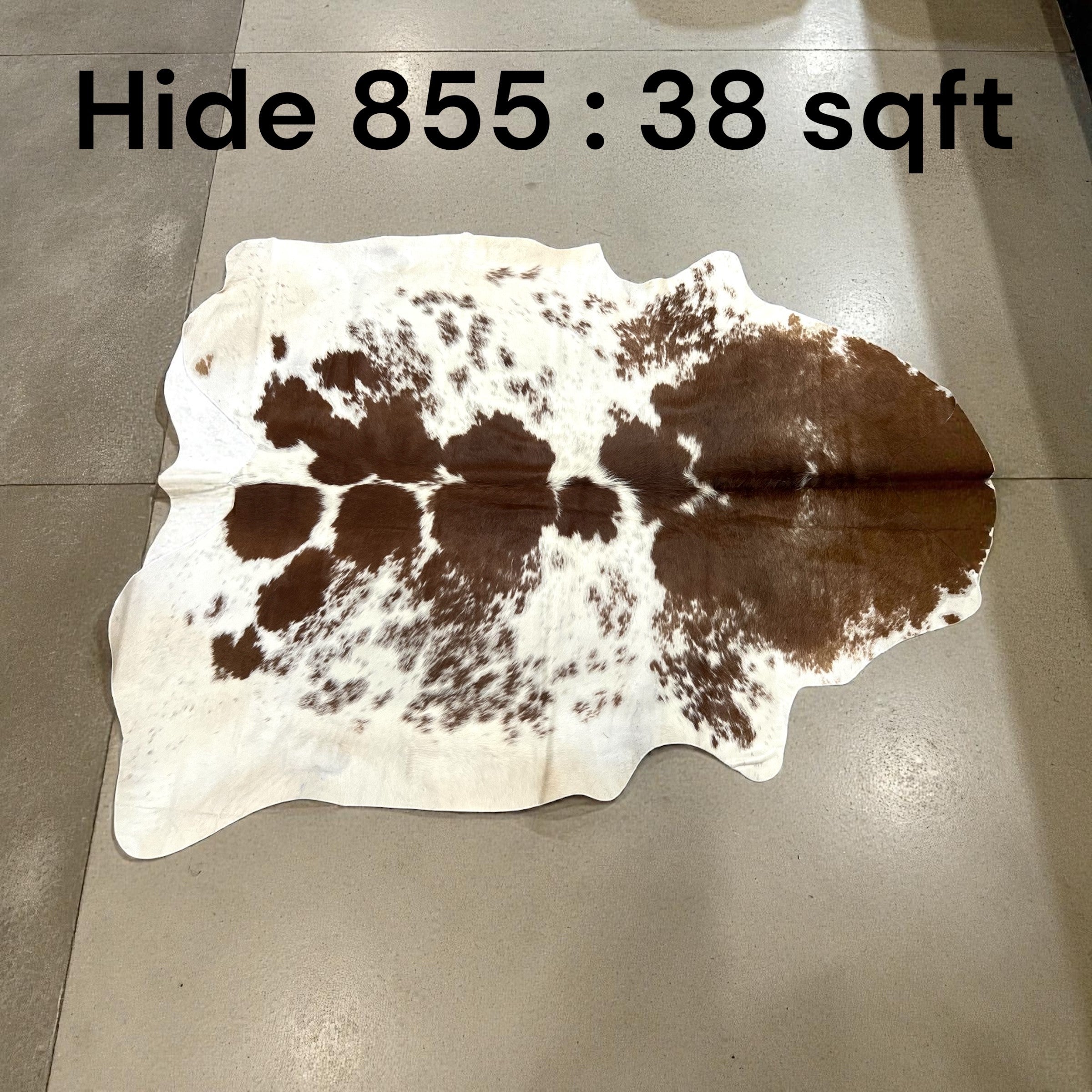 Natural Hair On Cow Hide : This Hide Is Perfect For Wall Hanging, Leather Rugs, Leather Upholstery & Leather Accessories. (Hide 855)