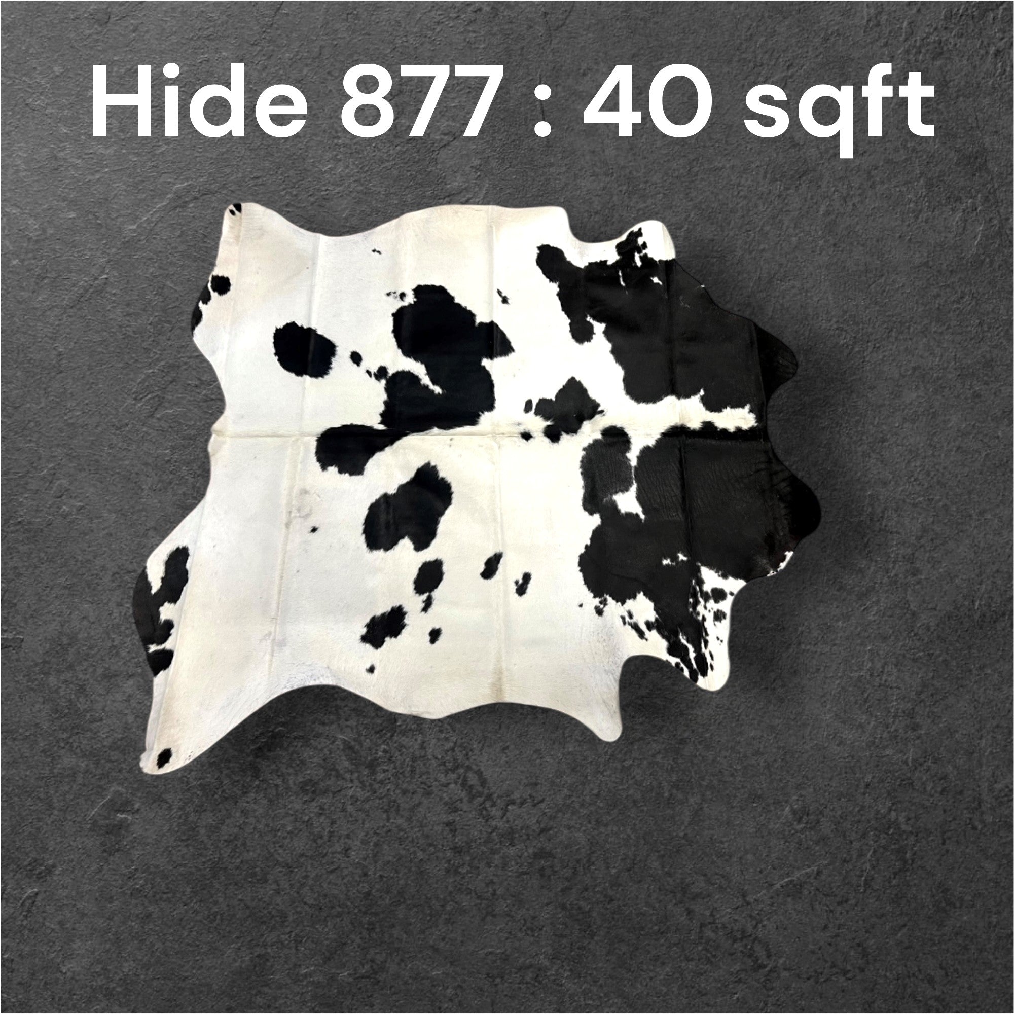 Natural Hair On Cow Hide : This Hide Is Perfect For Wall Hanging, Leather Rugs, Leather Upholstery & Leather Accessories. (Hide 877)