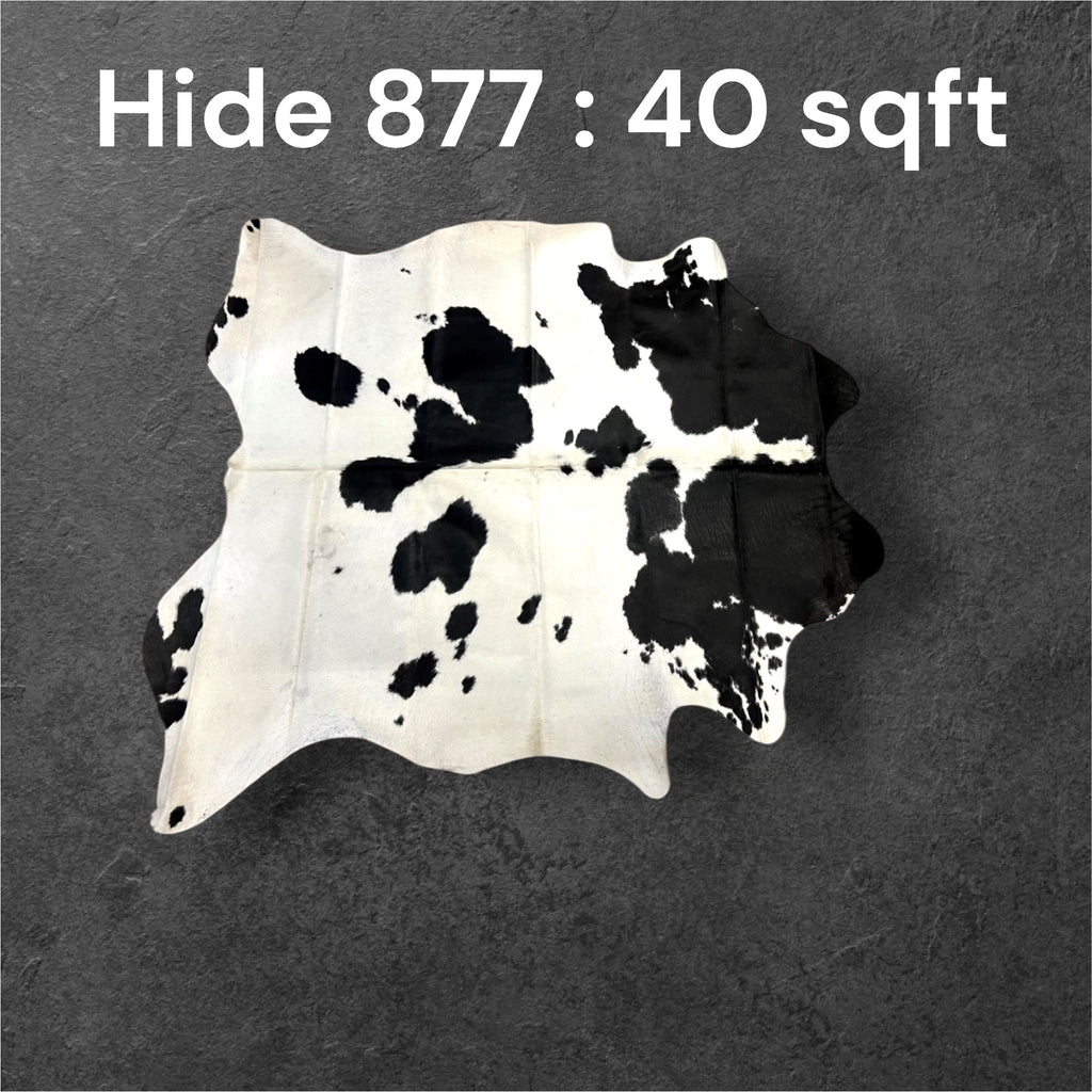 Natural Hair On Cow Hide : This Hide Is Perfect For Wall Hanging, Leather Rugs, Leather Upholstery & Leather Accessories. (Hide 877)