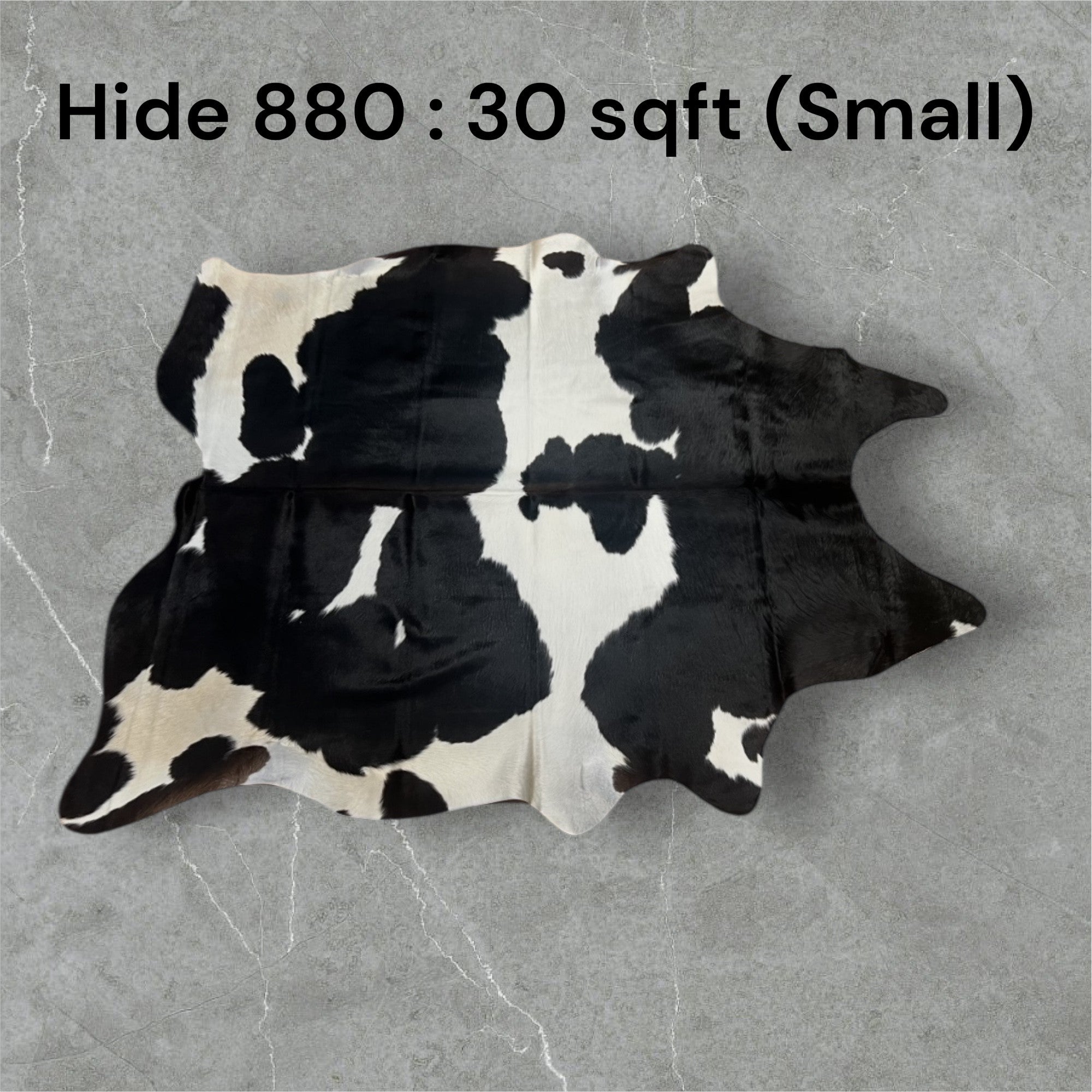 Natural Hair On Cow Hide : This Hide Is Perfect For Wall Hanging, Leather Rugs, Leather Upholstery & Leather Accessories. (Hide 880)