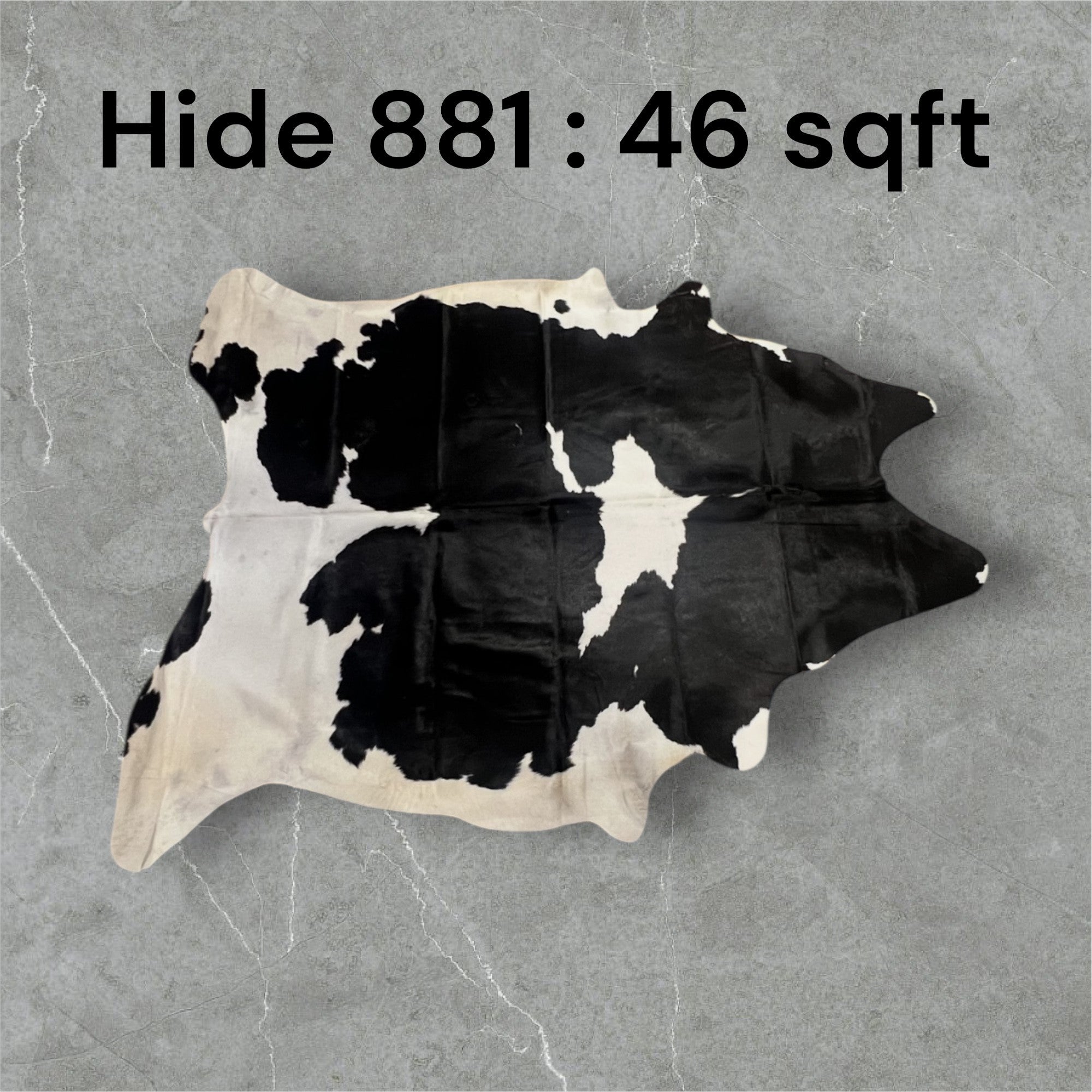Natural Hair On Cow Hide : This Hide Is Perfect For Wall Hanging, Leather Rugs, Leather Upholstery & Leather Accessories. (Hide 881)