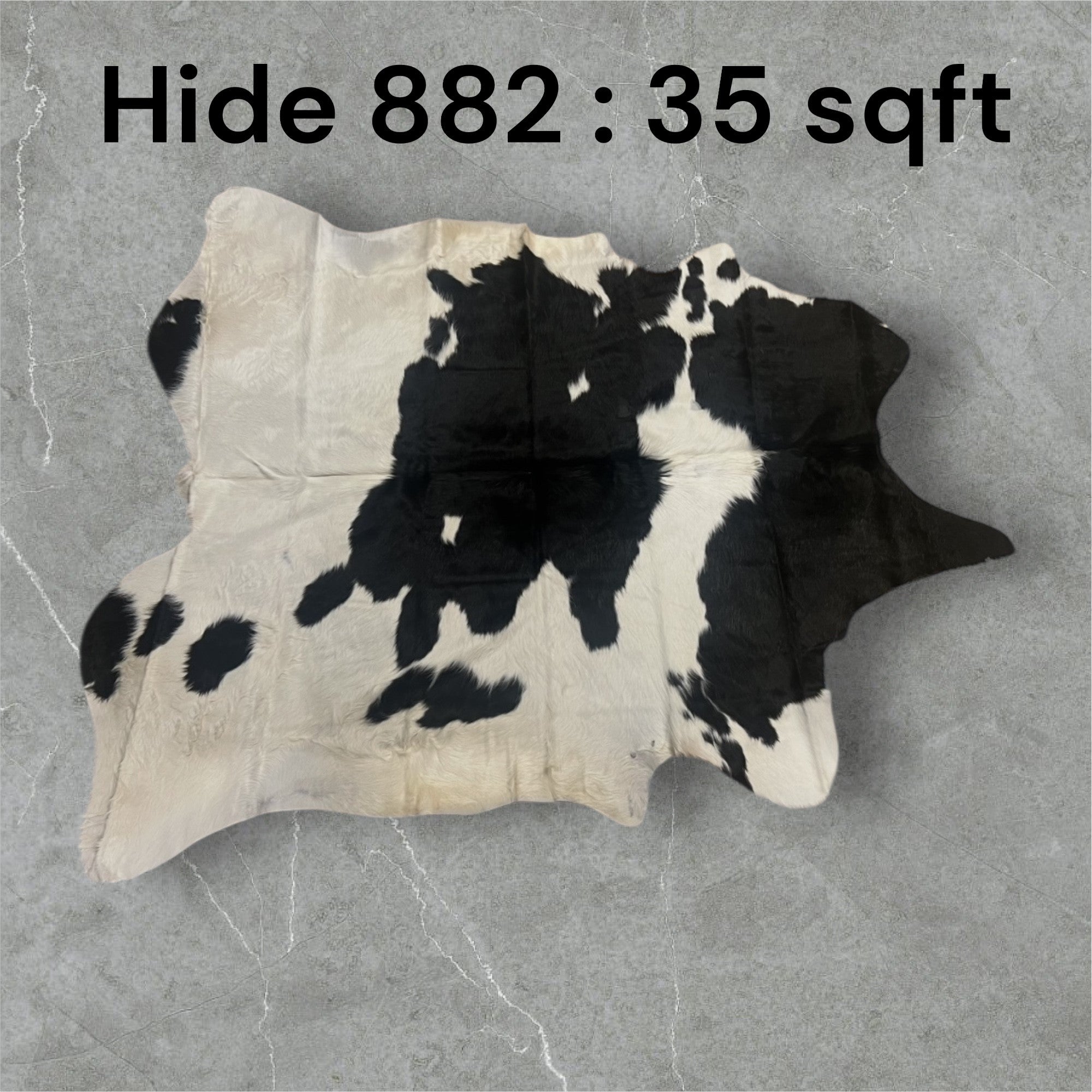 Natural Hair On Cow Hide : This Hide Is Perfect For Wall Hanging, Leather Rugs, Leather Upholstery & Leather Accessories. (Hide 882)