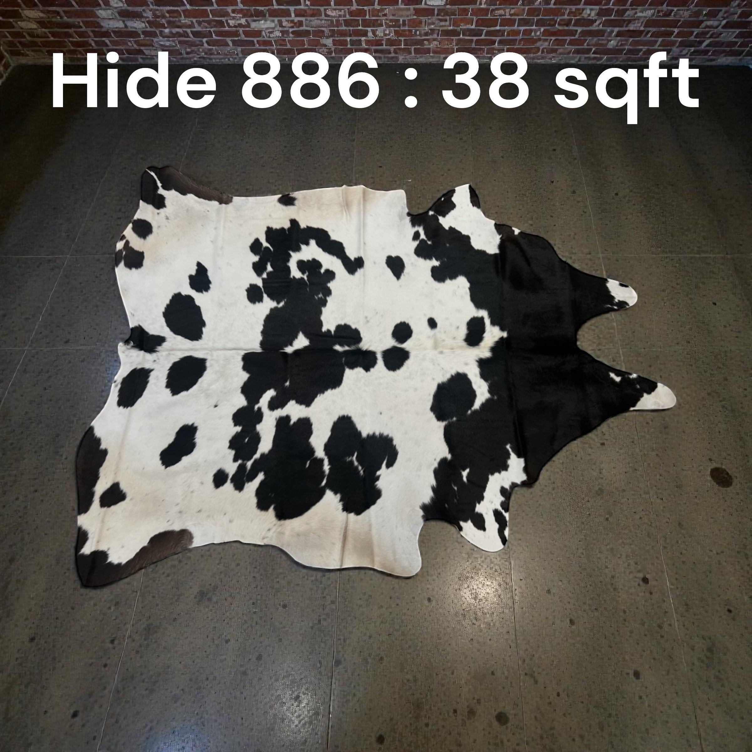 Natural Hair On Cow Hide : This Hide Is Perfect For Wall Hanging, Leather Rugs, Leather Upholstery & Leather Accessories. (Hide 886)