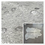 Hair-On Hide Acid Silver : 1.5mm (Ref-gh.eol) A3