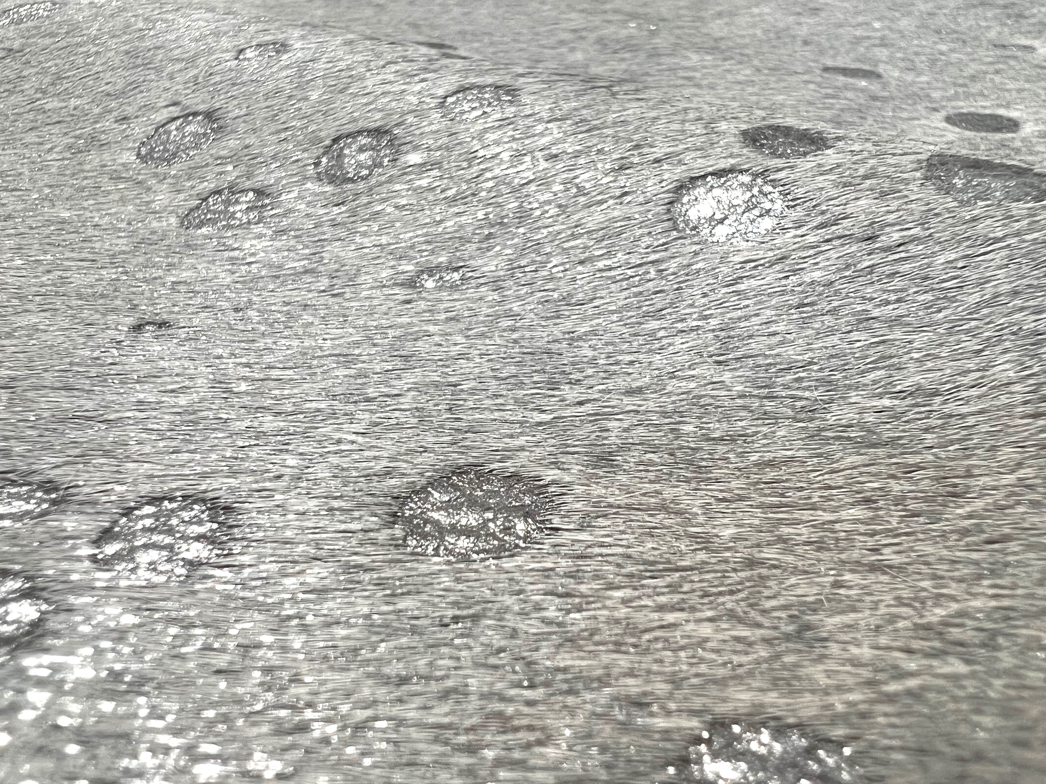 Hair-On Hide Acid Silver : 1.5mm (Ref-gh.eol) A3