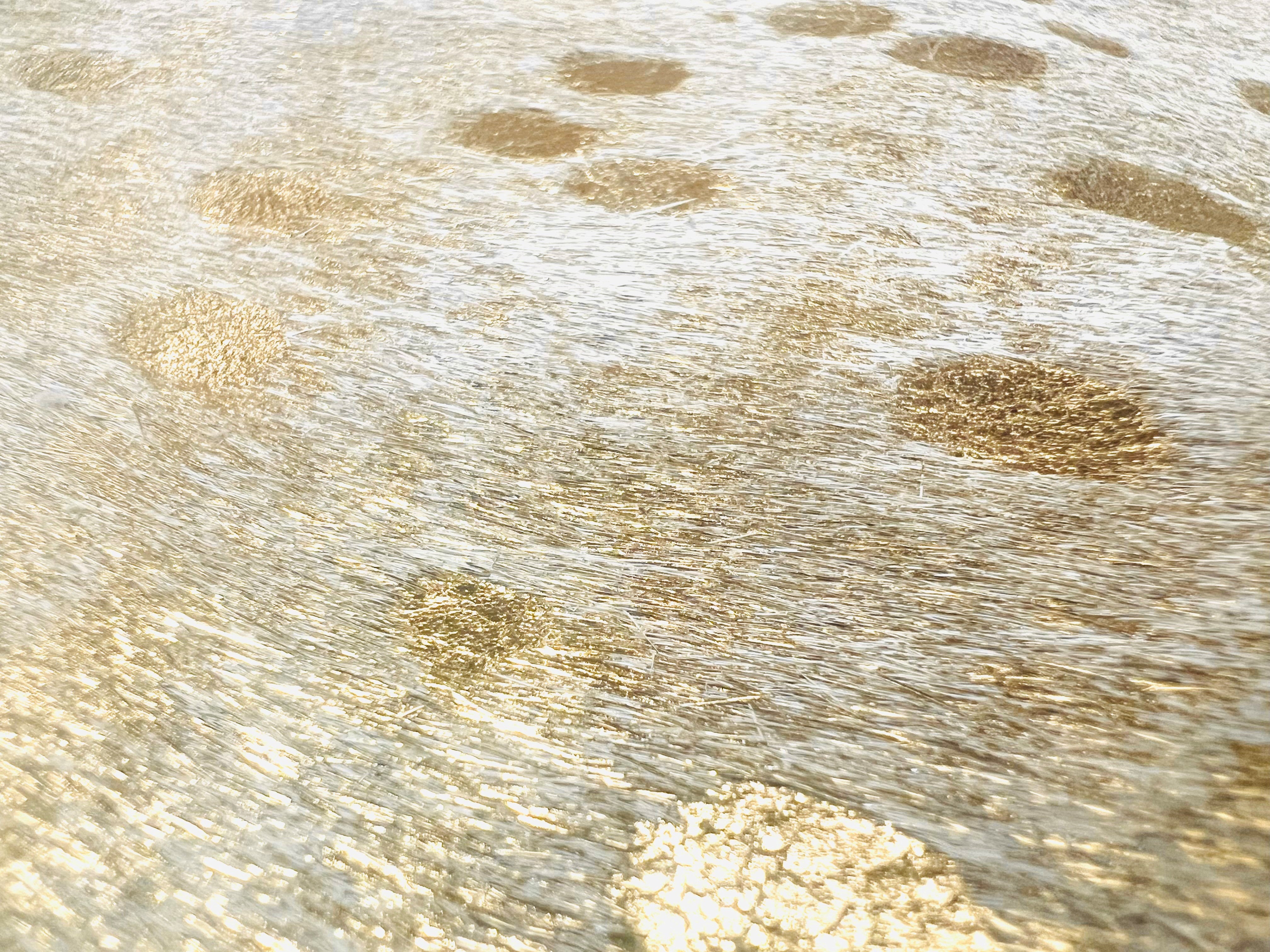 Hair-On Hide Acid Gold : 1.5mm (Ref-gh.eol) A6