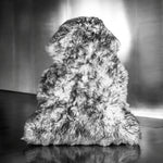Black-Tip Sheepskin Rugs: Premium Quality Sheepskin Rugs for any Room (65cm x 95cm)