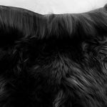 Black Sheepskin Rugs: Premium Quality Sheepskin Rugs for any Room (65cm x 95cm)