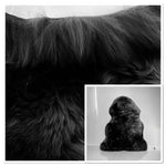 Black Sheepskin Rugs: Premium Quality Sheepskin Rugs for any Room (65cm x 95cm)