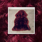 Blood-Red Sheepskin Rugs: Premium Quality Sheepskin Rugs for any Room (65cm x 95cm)