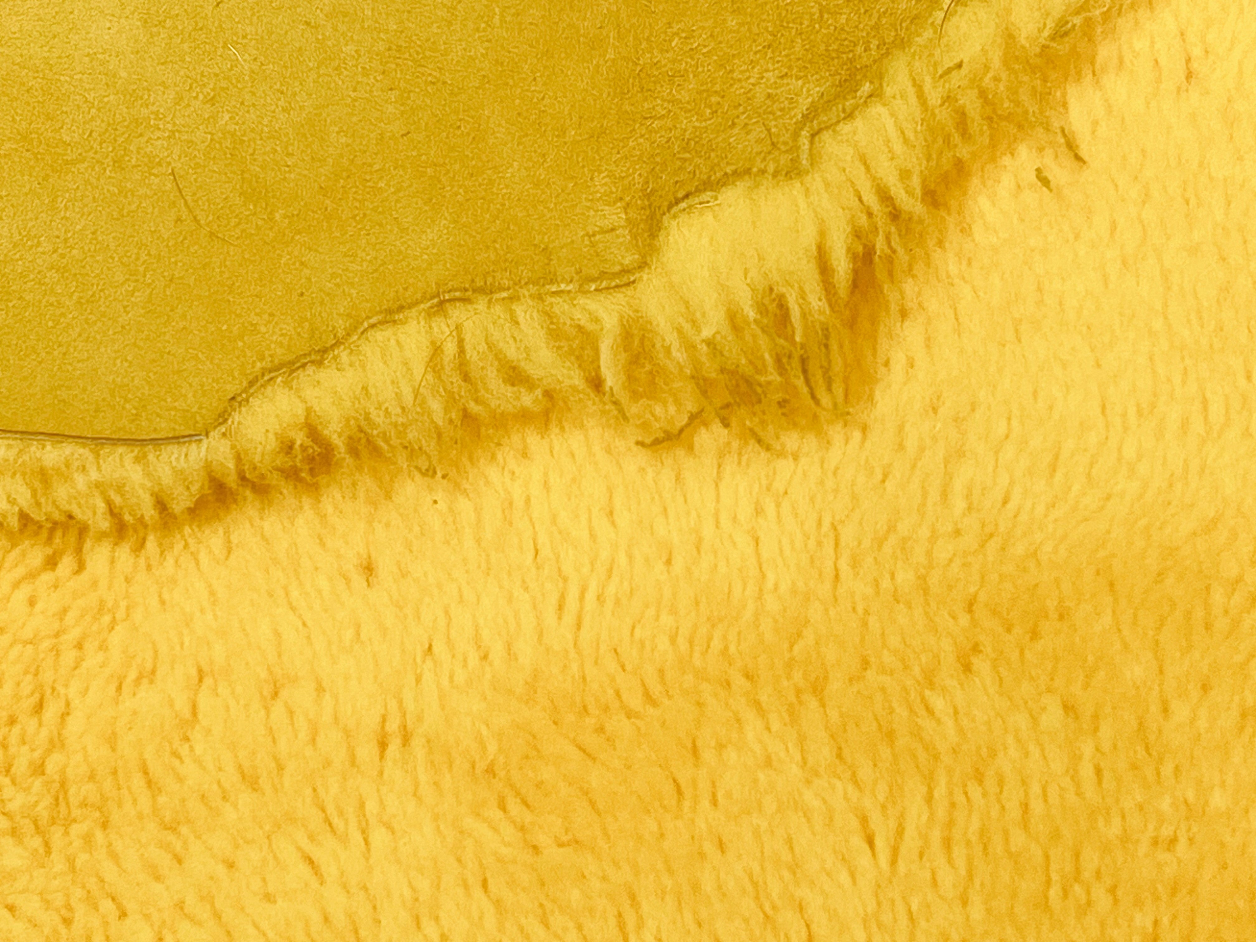 Cannarie Yellow Curly Sheepskin : 18mm 6 Piece  Shearling Bundle (Ref-gh.eol)