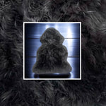 Coal Sheepskin Rugs: Premium Quality Sheepskin Rugs for any Room (65cm x 95cm)