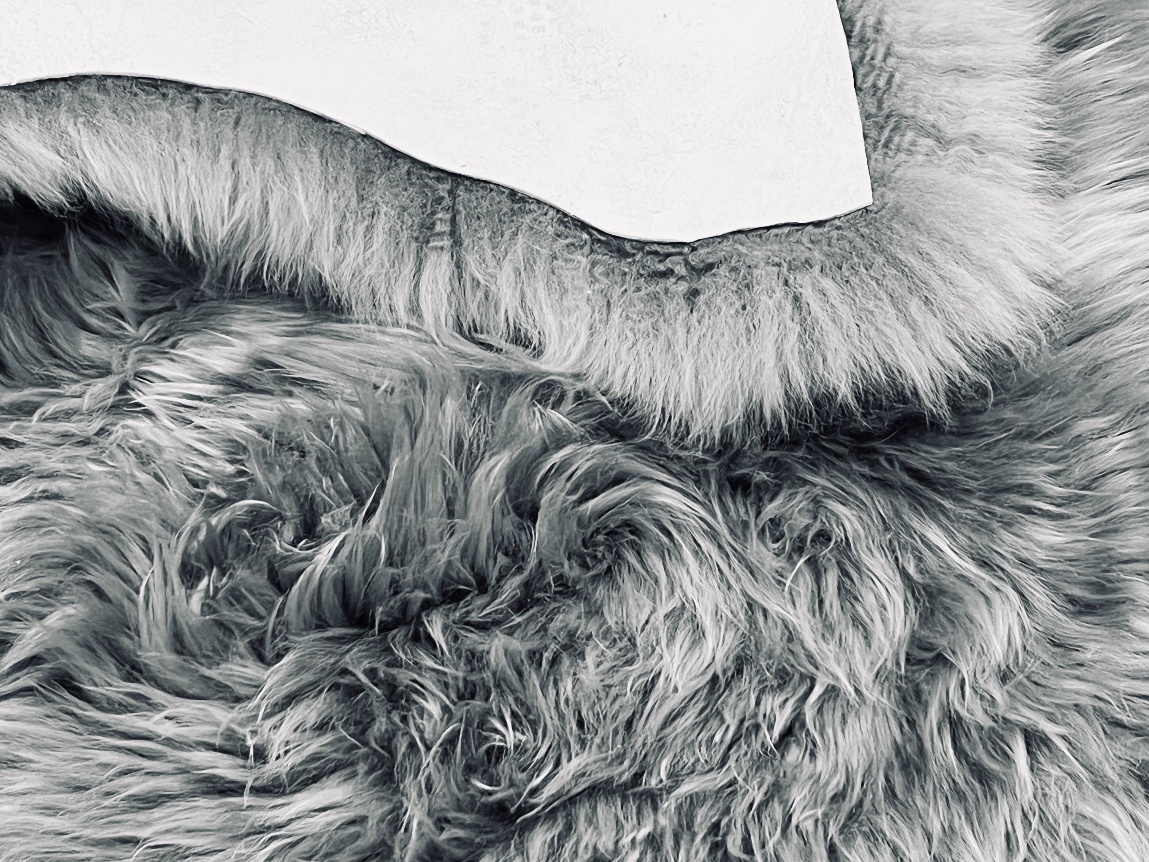 Grey Sheepskin Rugs: Premium Quality Sheepskin Rugs for any Room (65cm x 95cm)