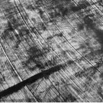 Traditional English Bridle Half sides Black : 1.5-2.0mm (Ref-ghl.eol)