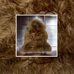 Toffee Sheepskin Rugs: Premium Quality Sheepskin Rugs for any Room (65cm x 95cm)