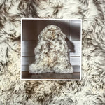 Wolf-Tip Sheepskin Rugs: Premium Quality Sheepskin Rugs for any Room (65cm x 95cm)