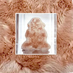 Rosa-Pink Sheepskin Rugs: Premium Quality Sheepskin Rugs for any Room (65cm x 95cm)