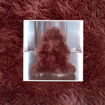 Burgundy Sheepskin Rugs: Premium Quality Sheepskin Rugs for any Room (65cm x 95cm)